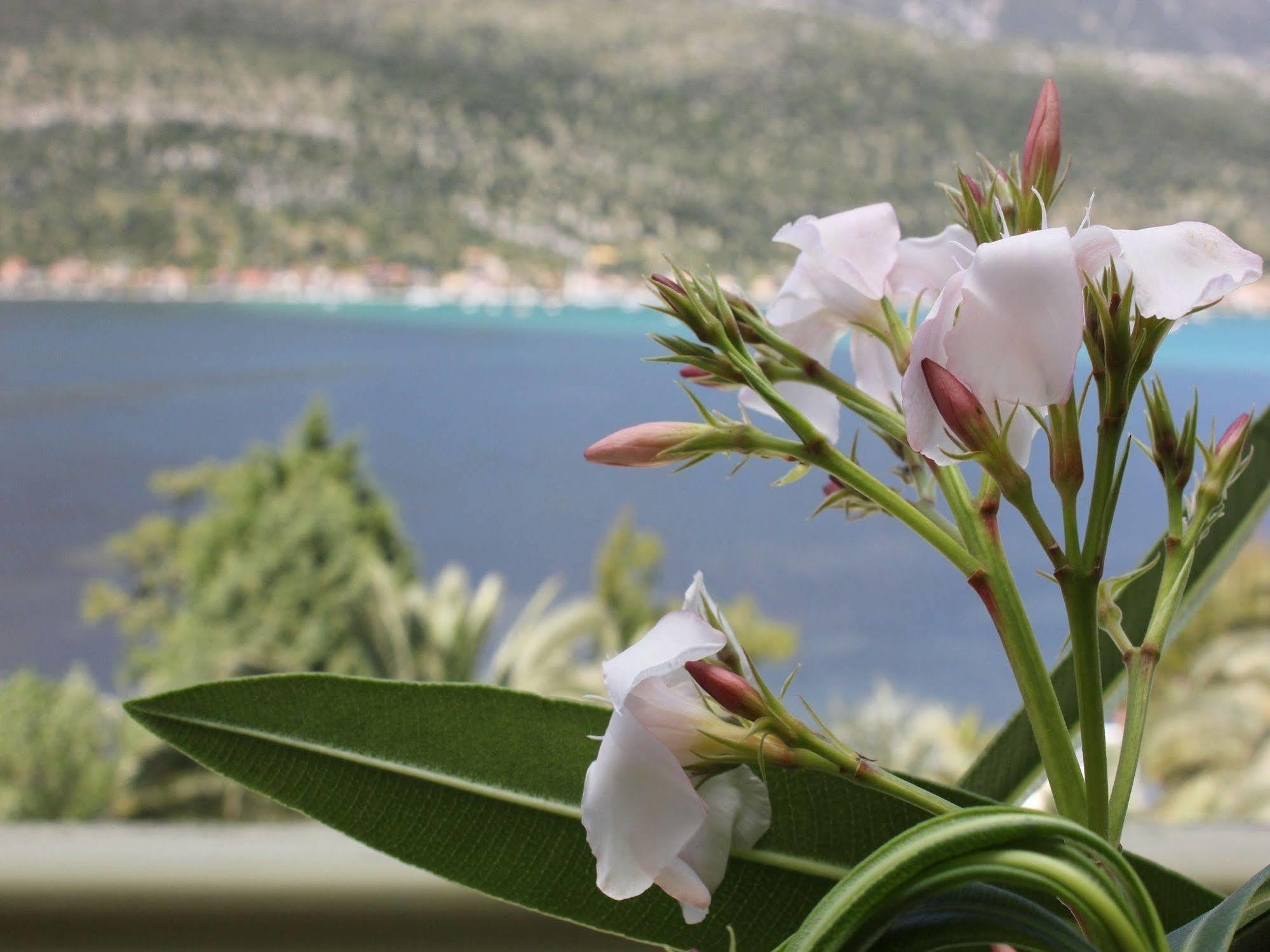 Cleopatra Beach Aparthotel Geni  Bagian luar foto